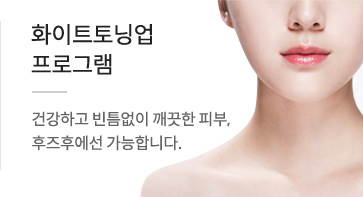 화이트토닝업프로그램